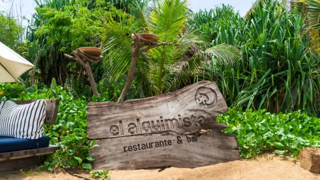 el-Alquimista-web.webp